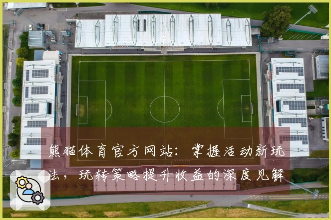 熊猫体育官方网站：掌握活动新玩法，玩转策略提升收益的深度见解